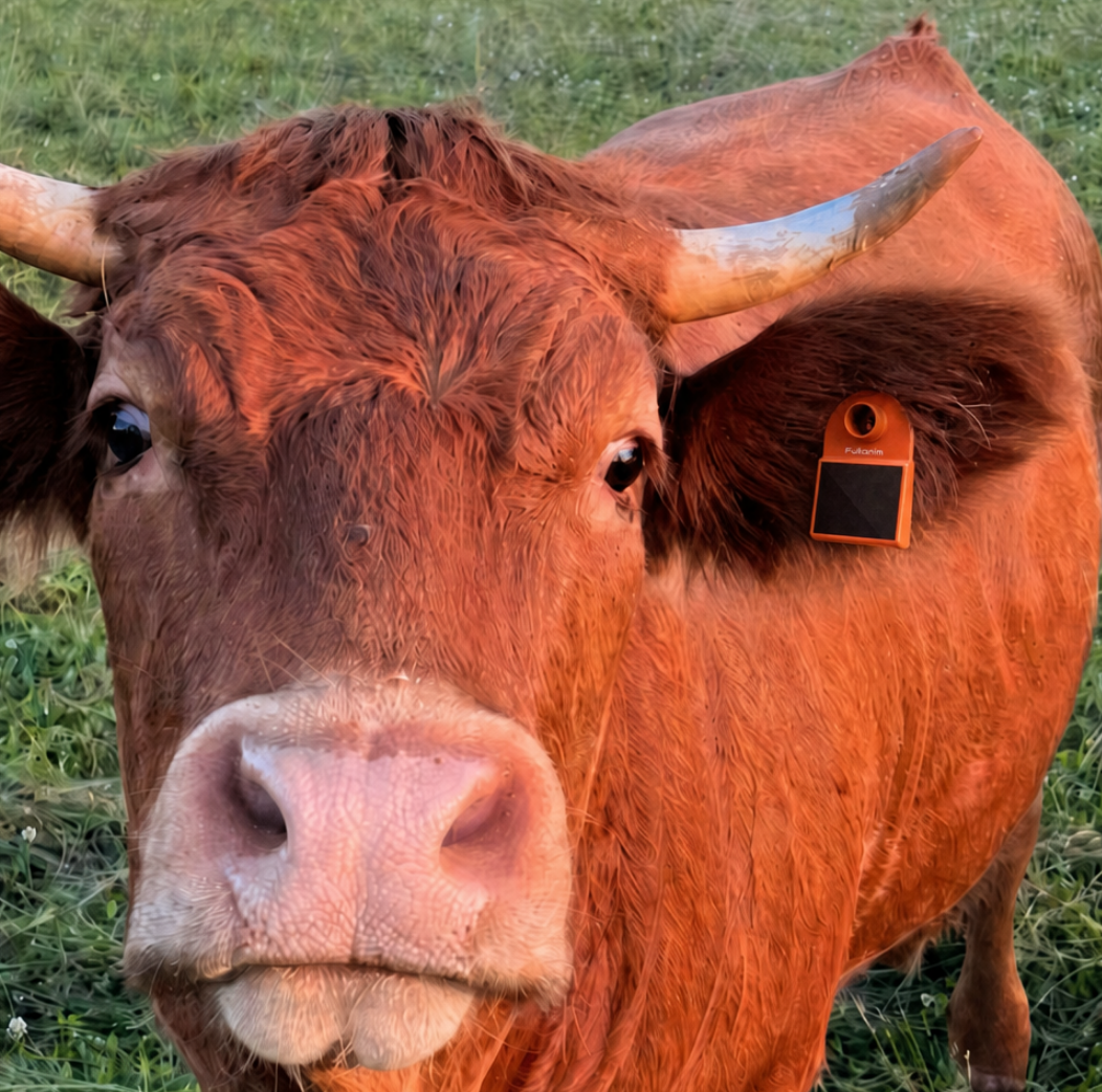 Light kinetic earTag